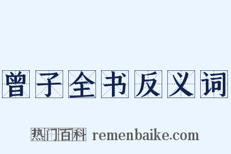 曾子全书反义词是什么意思的图片